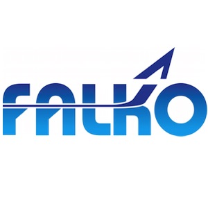 Falko Outlines 2020 Portfolio Activity